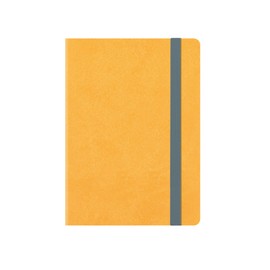 Small Daily Diary 16 Month 2019/2020 - Yellow