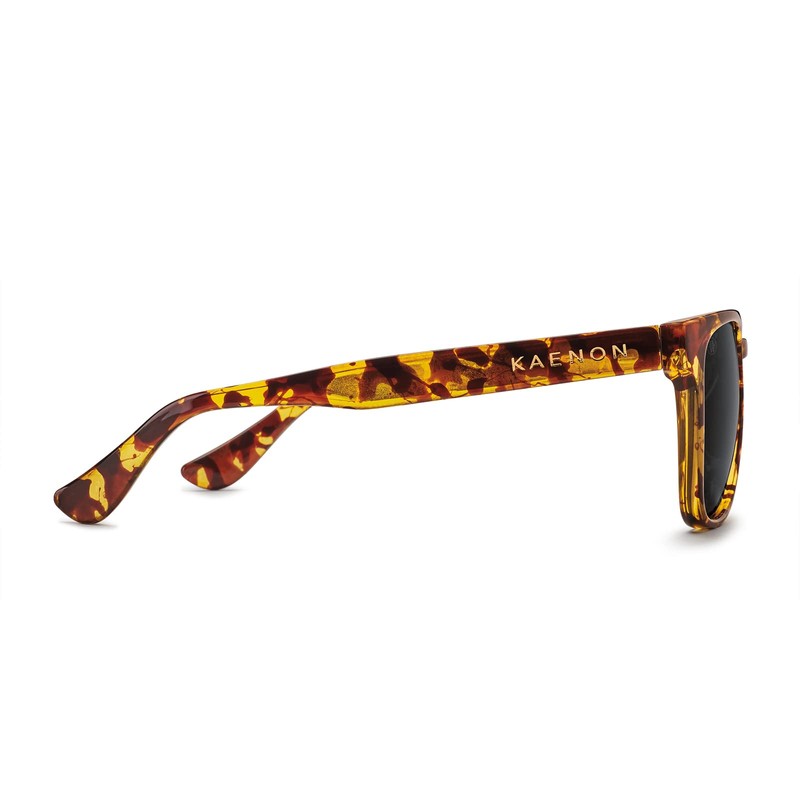 Kaenon Avalon Unisex Polarized Sunglasses, Tokyo Tortoise