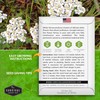 Survival Garden Seeds White Yarrow Seeds for Planting - 5