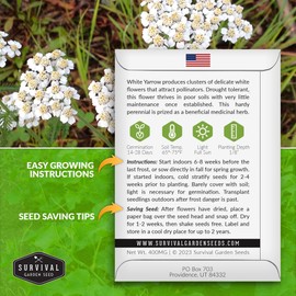 Survival Garden Seeds White Yarrow Seeds for Planting - 5 Packets with Instructions to Plant & Grow Beneficial Flowering Herbs in Your Home Vegetable Garden - Non-GMO Heirloom Variety
