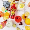 Calypso Lemonades 16 Ounce Glass Bottles 6 Pack (Paradise Punch
