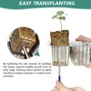 Artcome 5-Pack Seed Starter Tray - 6 Cells Each with