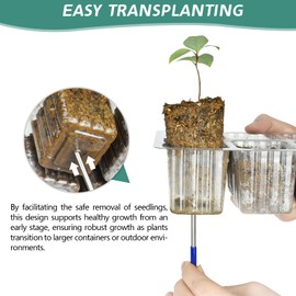 Artcome 5-Pack Seed Starter Tray - 6 Cells Each with Push-Up Ejector - Seed Starter Kit for Rapid Growth and Healthy Seedlings at Home - 30 Cells in Total