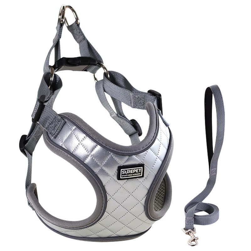 Dog Harness Breathable Vest, Step-in Puppy Harness and Lead Sets,