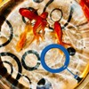 zhuohai Fish Feeding Ring Floating Food Feeder Circle with Suction