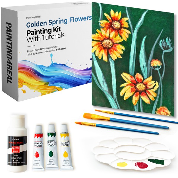 Painting4Real DIY Painting Kits for Adults with Video Tutorials: Learn