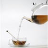 Trendglas Jena MIKO Teapot in Classic Design with Stainless Steel