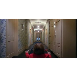 1980 The Shining Twins Hallway  High Quality Metal Magnet 3x6 inches 9997