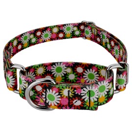 Country Brook Petz Martingale Dog Collar - Heavy-Duty Training Collar - Vibrant Floral Collection with Charming Designs - Daisy Fields, Medium