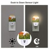 sndheke Golf Ball on tee Night Light, Green Grass Sunset