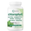 Chlorophyll 3,000mg Equivalent | 240 Veggie Capsules with Parsley, Peppermint,