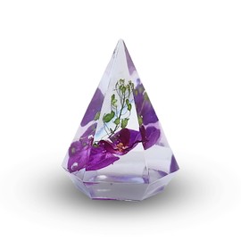 LINOA ART Eternal Flower Baby | Orchid Keiki & Preserved Natural Flower in Resin | Pyramid Orchid | Resin Paperweight (Purple)