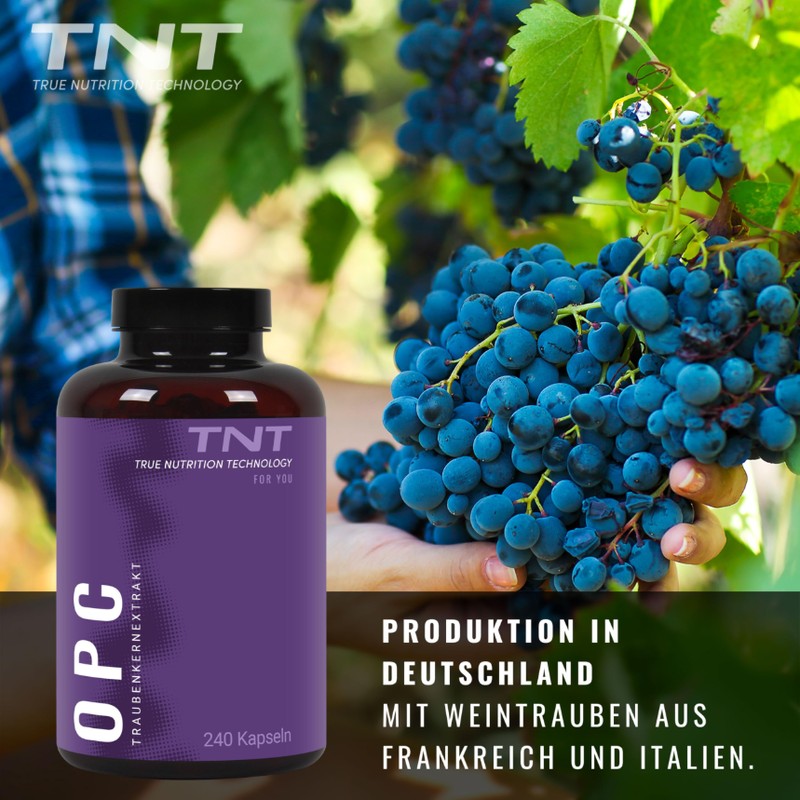 TNT OPC (240 vegane Kapseln) • Traubenkernextrakt hochdosiert • 600mg