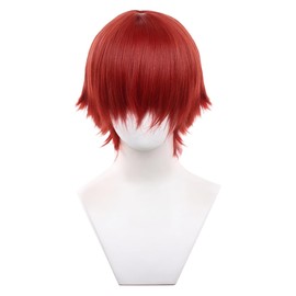 Akixen All Purpose Wig, Full Wig, Men's Ladies, Short Straight Red Wig, For Men and Women, Heat Resistant, Cosplay Hair Net, Event, Halloween Disguise, Festival, 02