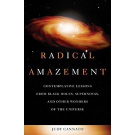 Radical Amazement: Contemplative Lessons from Black Holes, Supernovas, and Other Wonders of the Universe