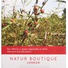 Natur Boutique Organic Hibiscus Tea Sachets, 1 Pack of 20
