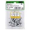 Niigata Seiki SK-537BK SK-537BK Color Blind Rivets, Black, 20 Pieces,