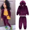 Girls Velour Hoodie Clothes Set Zipper Jogger 2 Pieces Outfits