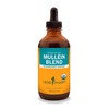 Herb Pharm Certified Organic Mullein Blend Liquid Extract for Respiratory