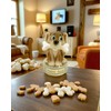 Kremers Schatzkiste Polyresin Money Box for Visiting the Veterinarian or