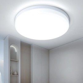 Ceiling Light LED Ceiling Light Flat Ceiling Lamp Living Room 6500 K 4800 LM, IP44 Waterproof Bathroom Lamp Ceiling Light Bedroom for Bathroom Hallway Balcony Living Room Kitchen Cellar Lamp 300 x 40