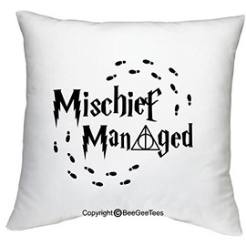BeeGeeTees Wizard Managed Always Funny Wizard Inspired 18" x 18" Wizard Zippered Pillow Cover