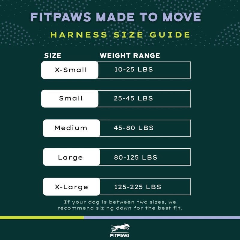 FitPAWS Made to Move No-Pull Harness | Adjustable Fit |