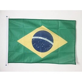 Brazil Flag 2' x 3' for outdoor - Brazilian flags 90 x 60 cm - Banner 2x3 ft Knitted Polyester with rings - AZ FLAG