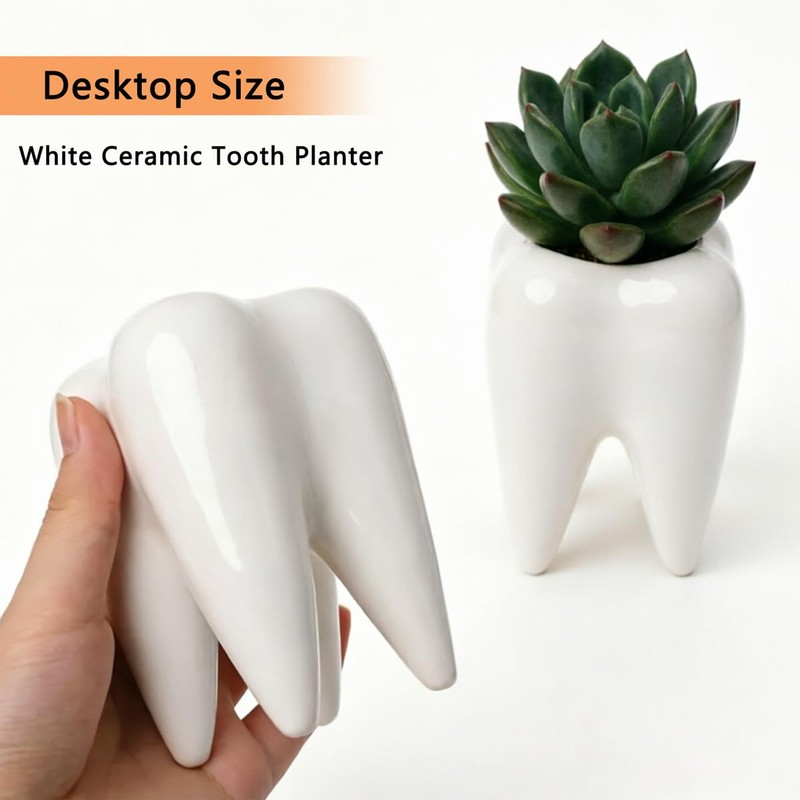 6 Pack Ceramic Tooth Planter