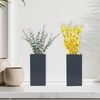 dugunusu Wood Wall Planter Set of 2, Modern Wall Hanging