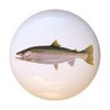 Steelhead Trout Fish - Critters Animals - DECORATIVE Glossy CERAMIC