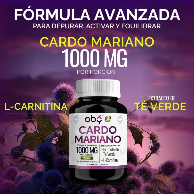 Cardo Mariano Silimarina 100 Natural Extracto Verde Carnitina Milk Thistle