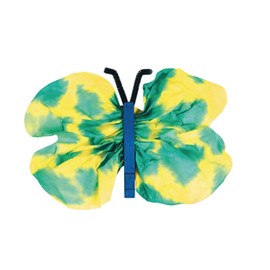 Scholastic Watercolor Butterflies Craft Kit