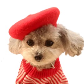 MuYaoPet Dog Cat Beret Wool Hat Headband French Artist Beanie Beret Pet Dog Christmas Costume Hair Accessory Photo Props (Red, One Size)