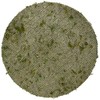 SuperMoss (26335) Moss Soil Toppers, Fresh Green, Assorted 4 Sizes