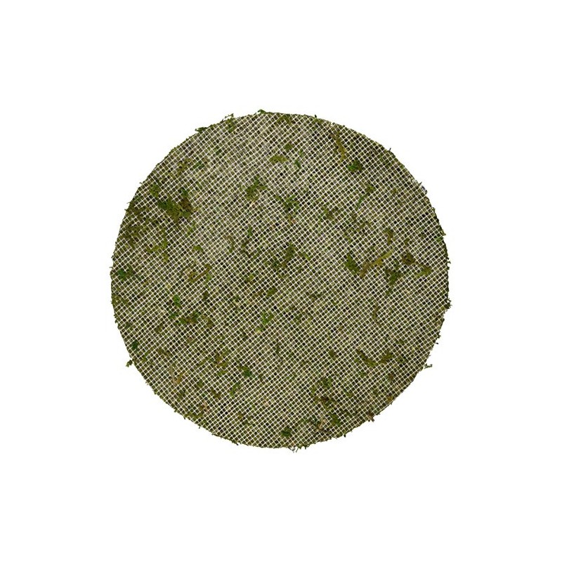 SuperMoss (26335) Moss Soil Toppers, Fresh Green, Assorted 4 Sizes