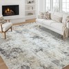 Cinknots Modern Soft Area Rugs Abstract Distressed Rugs Living Room