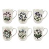 Portmeirion Botanic Garden 11.5oz Beaker Mugs - Set of 6