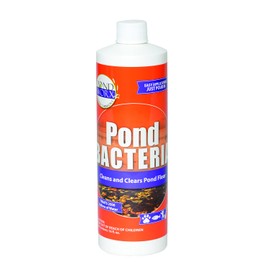 Pondworx Pond Bacteria - Concentrated & Formulated for Water Features - Safe for Koi - 16 Ounces & Treats up to 2,500 gallons of Water
