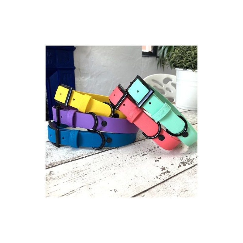 Waterproof Biothane Dog Collar Blue XL