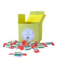 300g Lime Green Box of Sugar Free Spearmint Chews