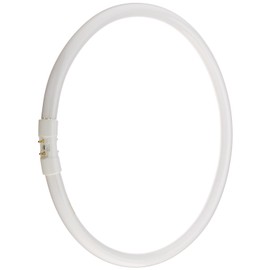 Bulbrite FC12T5 841 12-Watt Circline Fluorescent T5 Bulb, 800 Series, 4100-Kelvin, 2GX13 base, 12-Inch Diameter