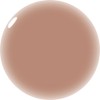 KOKOIST Bottongo Color Gel BC-06 3.4 fl oz (10 ml)