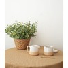Bosmarlin Ceramic Sugar and Creamer Set, Sugar Bowl with Lid
