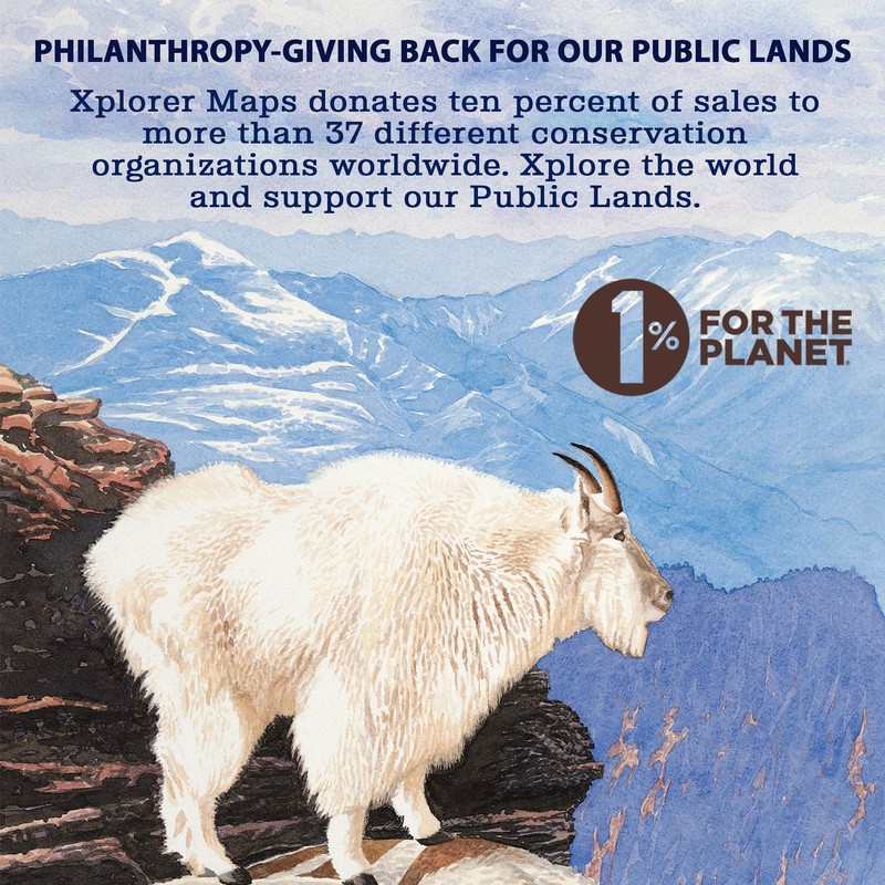 Boston City Map Cardboard Jigsaw Puzzle - 1000 Pieces, Hand-Illustrated