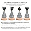 Weather Predictor Cat Bottle Black Ergonomic Rugged Glass Weather Predictor