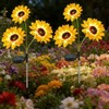 Solar Flower Lights for Garden Decor – Waterproof LED Rose