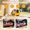 FurtasticFinds Pineapple Dog Toy, Indestructible Chew Toy with Squeaker, Durable