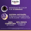 Palette Tinte para cabello Color Creme Rubio Oscuro 6-0, 50