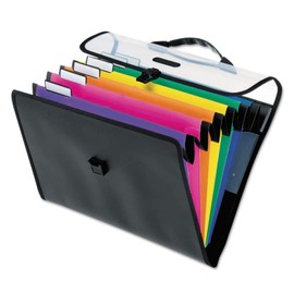 Pendaflex Hanging Organizer, All-in-1 Wall Organizer/Pocket Chart, Black with Bright Color Folders, Poly Carry Case, Letter Size (52891), Black/Assorted